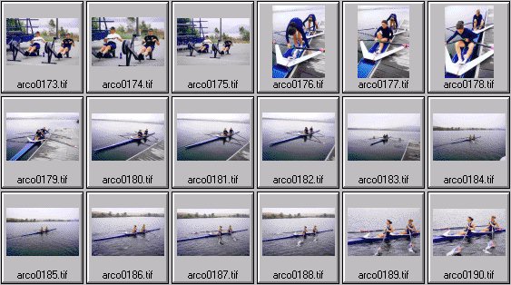 womens rowing photos