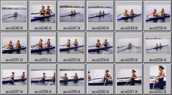 womens rowing photos