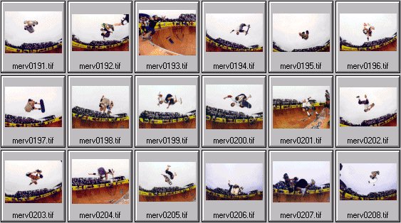 skateboarding pictures