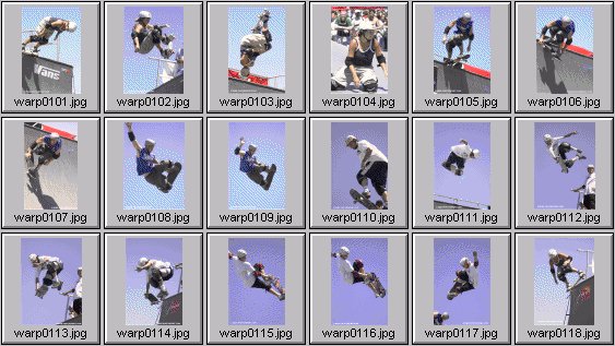 skateboarding pictures