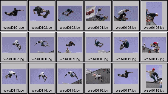 skateboarding pictures