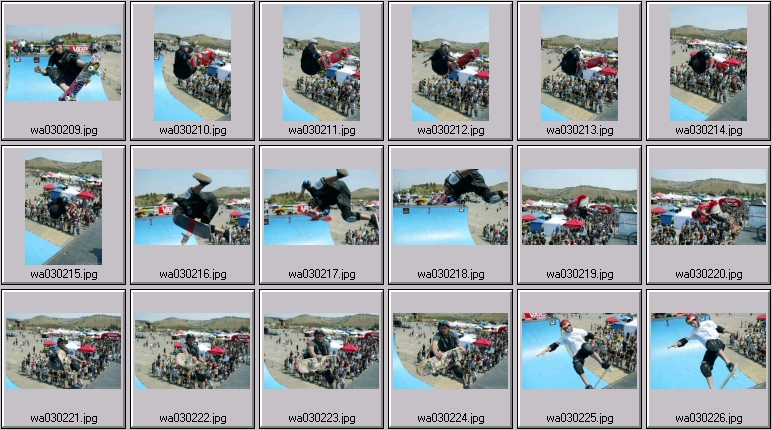 professional skateboarding