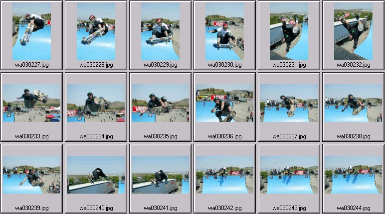 professional skateboarding