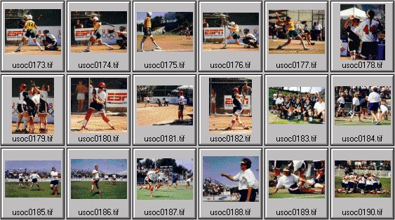 womens softball photos -- us olympic cup 99