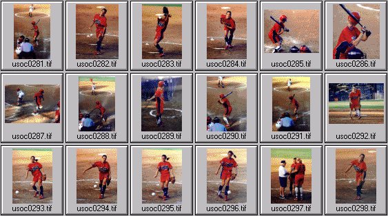 womens softball photos -- us olympic cup 99