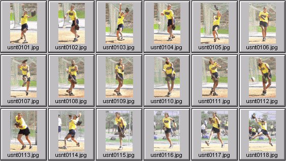 womens softball photos