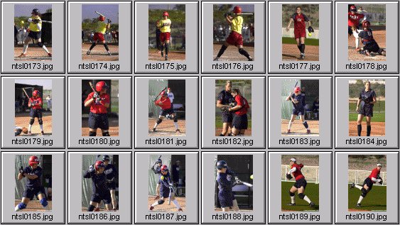 softball photos