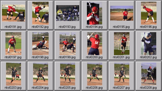 softball photos