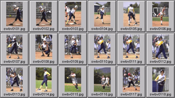 softball photos