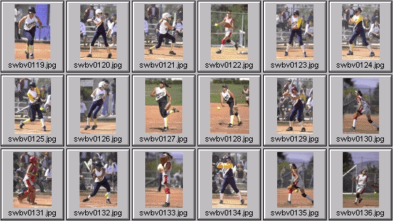 softball photos