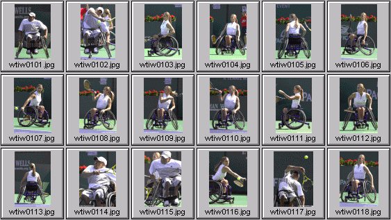 disabled sports photos