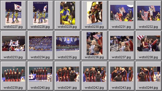 womens speedskating photos - 2002 winter olympics