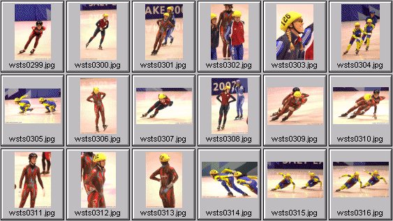 womens speedskating photos - 2002 winter olympics