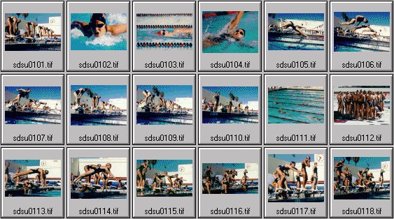 college women's swimming photos. SDSU-Fresno State