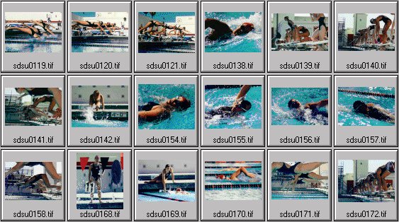 womens swimming photos