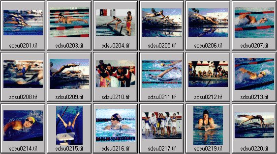 Women's swimming photos