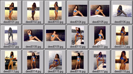 swimsuit edition photos