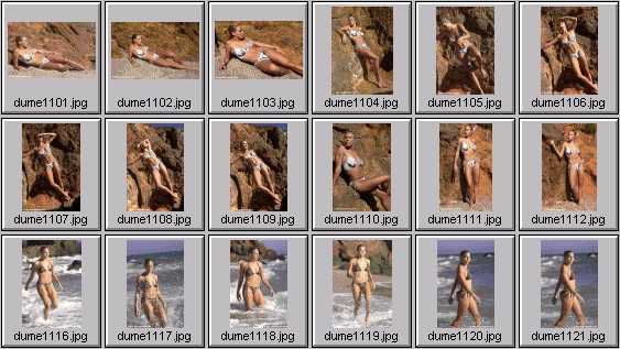 swimsuit edition photos