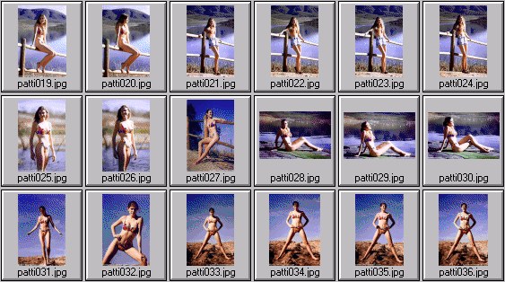 swimsuit edition photos