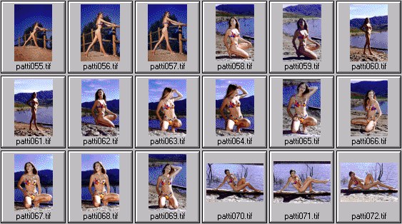 swimsuit edition photos