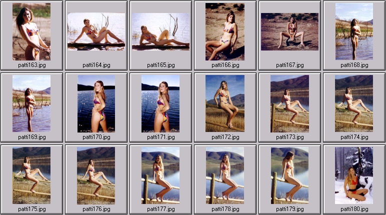 sheree holm swimsuit photos