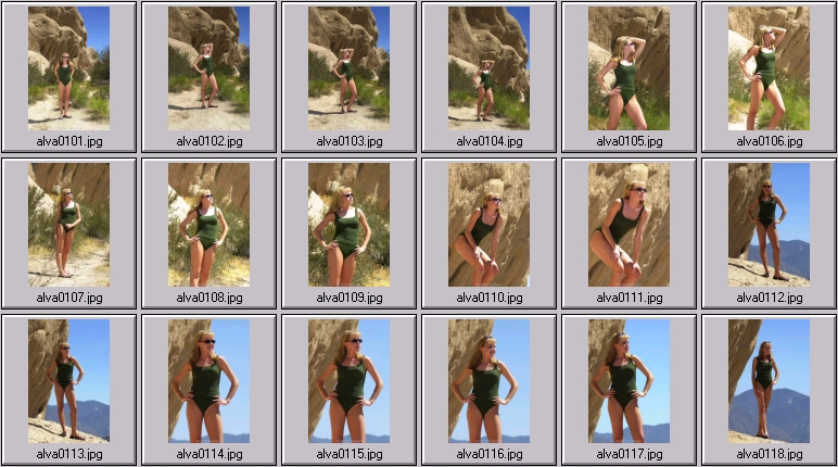 sheree holm swimsuit photos