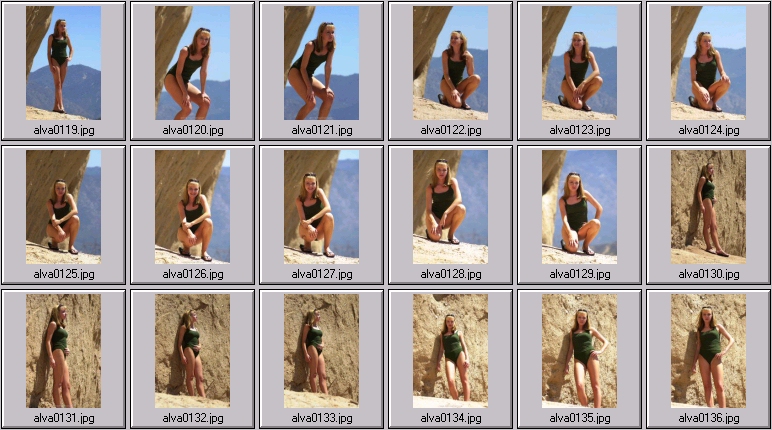 sheree holm swimsuit photos