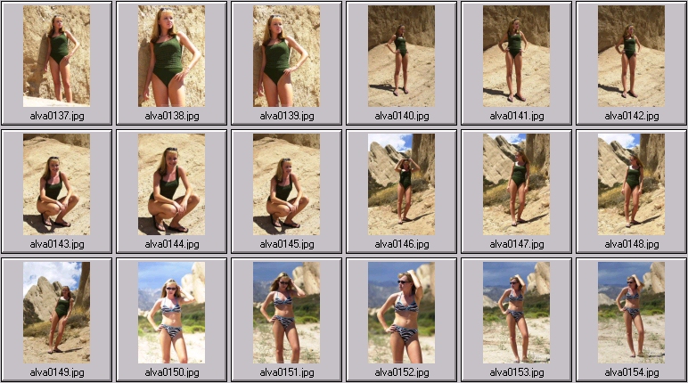 sheree holm swimsuit photos