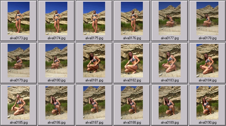 sheree holm swimsuit photos