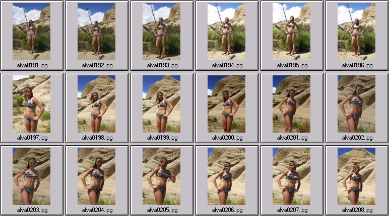 sheree holm swimsuit photos