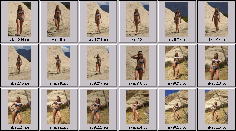 sheree holm swimsuit photos