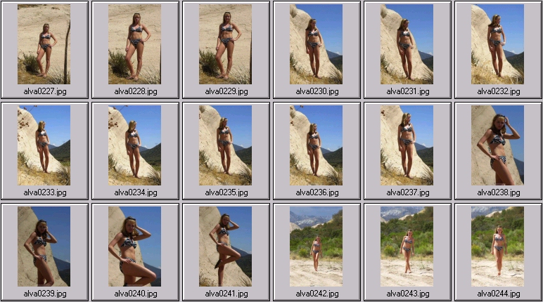 sheree holm swimsuit photos