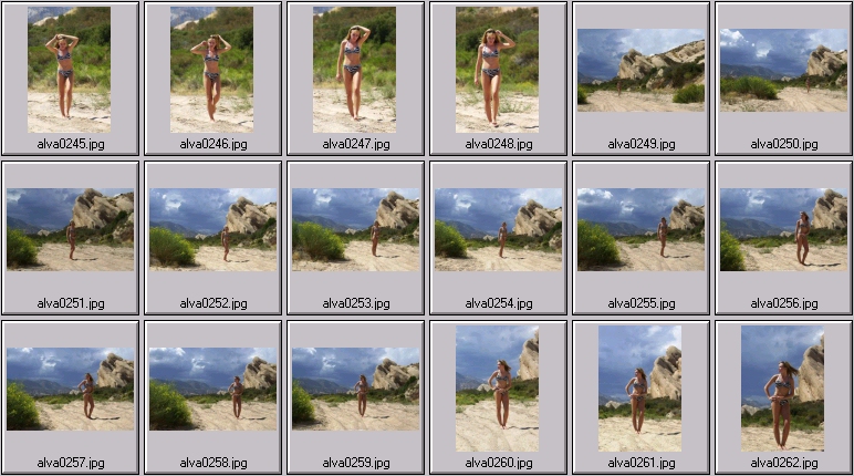 sheree holm swimsuit photos