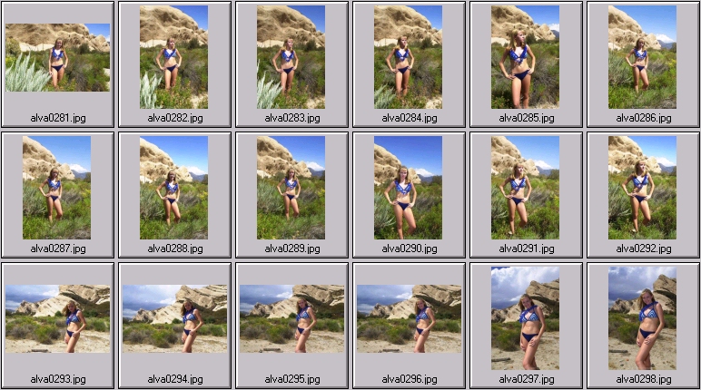 sheree holm swimsuit photos