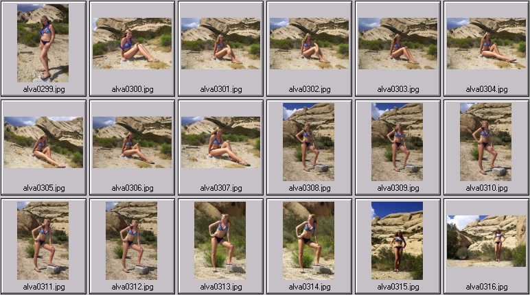 sheree holm swimsuit photos