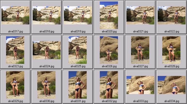 sheree holm swimsuit photos