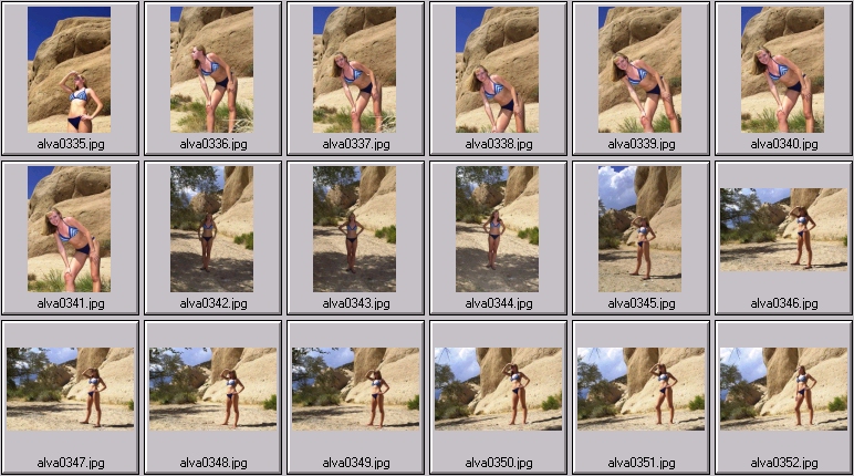 sheree holm swimsuit photos