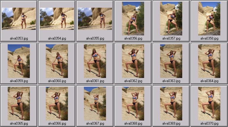 sheree holm swimsuit photos