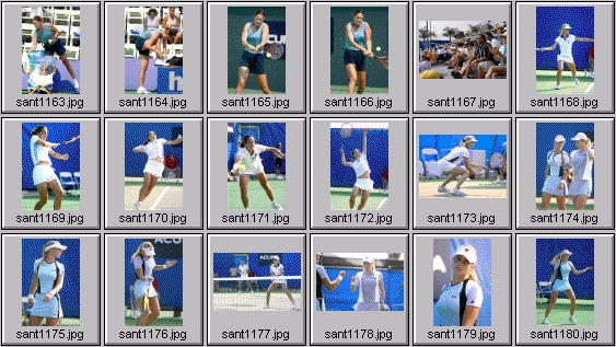 davenport dementieva dokic