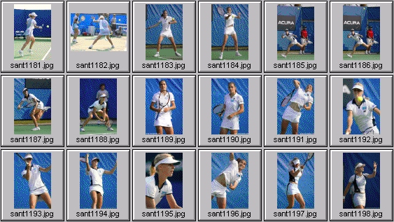 davenport dementieva dokic