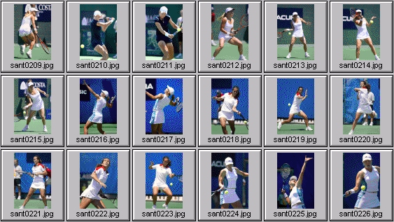 sarah taylor amanda coetzer alicia molik gala leon-garcia