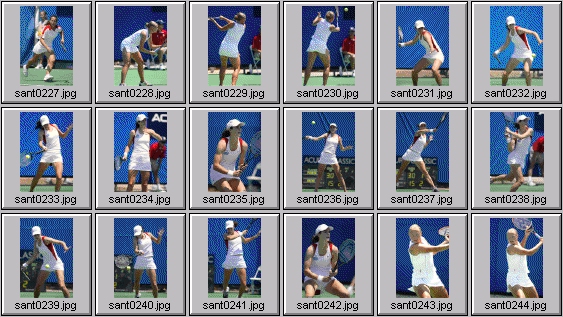 sarah taylor amanda coetzer alicia molik gala leon-garcia