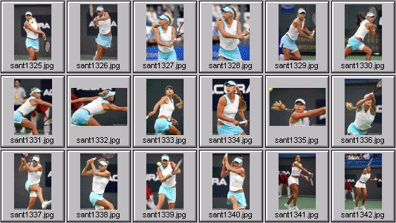 anna kournikova alexandra stevenson