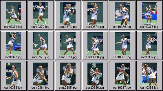 ashley "pebbles" harkleroad