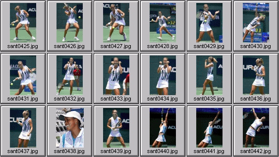 ashley "pebbles" harkleroad