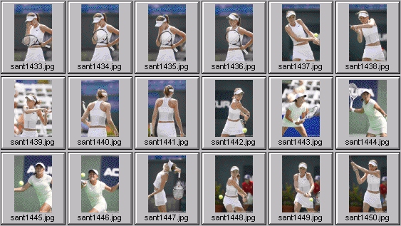 daniela hantuchova ai sugiyama