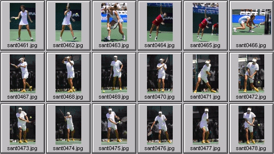 meghann shaughnessy anna kournikova kimberly po corina morariu