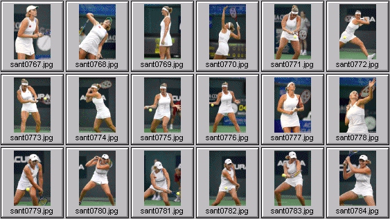 mary pierce greta arn