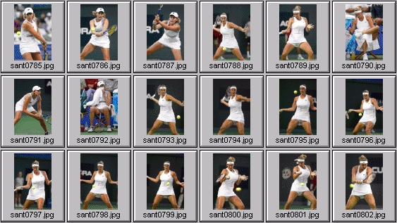 mary pierce greta arn