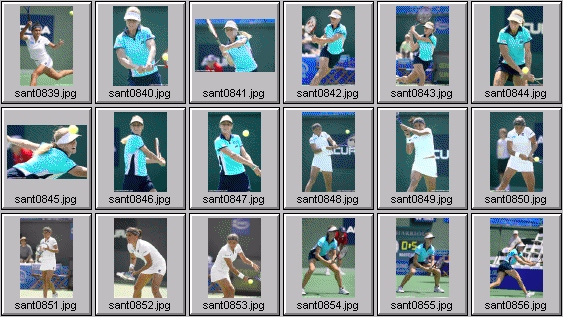 elena dementieva paola suarez